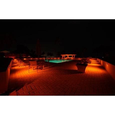 Turtle Friendly Lighting Led Corn Bulb 30W 3000Lm 2300K E26/E39 (W/adapter) thumbnail 5