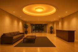 Canopy_turtle-Lobbies