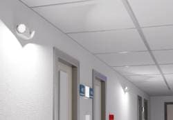 Emergency_Bug_Eye-Hospital