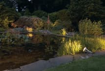 PARS_Garden-Landscaping