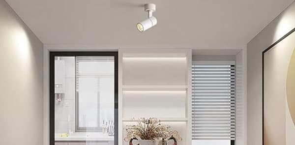 Spot_Light-Conference_Rooms