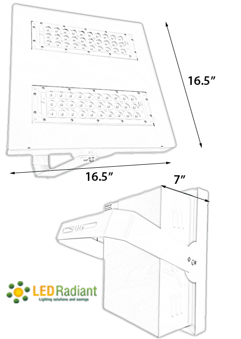 100W LED Canopy Light Ceiling Mount: 5500K 10000 Lm UL IP65