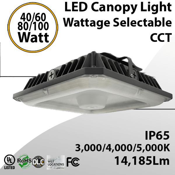 Efficient LED Canopy Light 40/60/80/100W Tunable 3000/4000/5000K