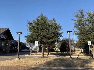 PTL-Park_Yard